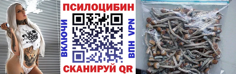 KRAKEN онион  Инза  Псилоцибиновые грибы Magic Shrooms 