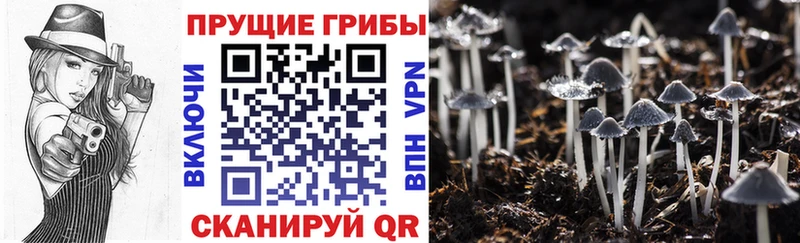 Галлюциногенные грибы Magic Shrooms Инза